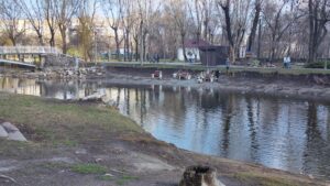 Как сейчас выглядит озеро в «Дубовке» в Запорожье (ВИДЕО)