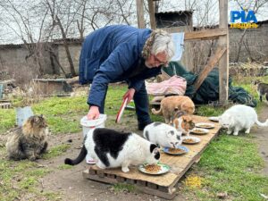 Под Запорожьем супруги держат 75 котов и 19 собак, которых бросили владельцы (ФОТО)