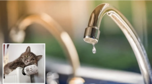 Ночью аварийно отключили водоснабжение и отопление в Запорожье: адреса