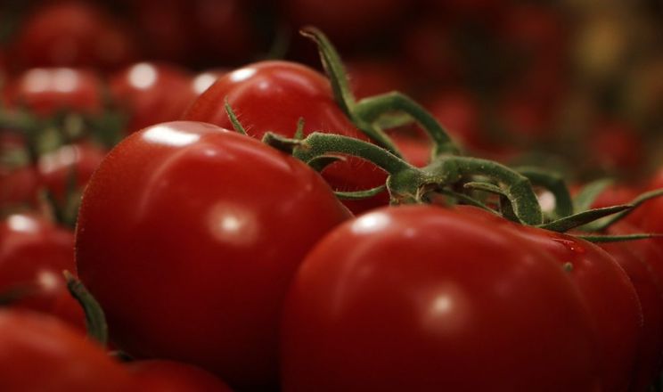 помідори, Туреччина