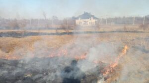 Вогонь вийшов з-під контролю: мешканка Балабиного ледь не втратила будинок через спалювання трави