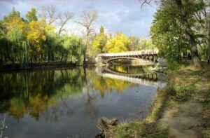 Рівень води в паркових водоймах Запоріжжя стрімко падає: що спричинило проблему