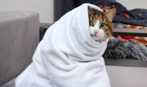 Синоптик назвала дату похолодания в Запорожье