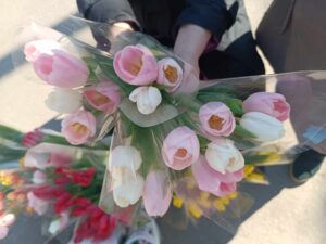 Сколько стоят цветы в Запорожье накануне 8 марта