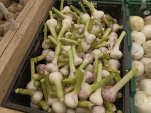 У Запоріжжі з’явився в продажу молодий часник: скільки він коштує (ФОТО)