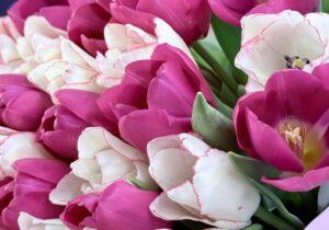 Запорожье готовится к 21°C: когда будет теплее всего