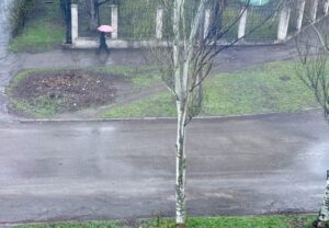 Как долго будет идти дождь в Запорожье: прогноз