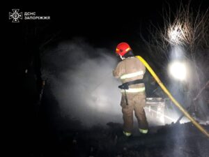 В Запорожье произошел смертельный пожар в частном доме (ФОТО)