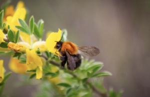 В Запорожье резкое снижение температуры: с понедельника станет на 13°C холоднее
