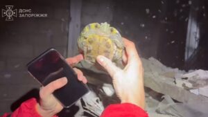 В Запорожье спасатели достали из-под завалов черепаху