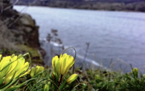 Запорожье прогреется до 21°C: когда ждать настоящего тепла