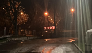 Запорожцы бьют тревогу: в городе массово гибнут ежи (ФОТО)