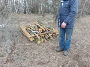 Нарубав дров на 7 тисяч гривень: під Запоріжжям затримали порушника