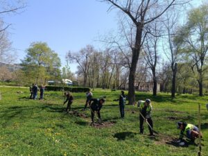 У Запоріжжі в одному з парків висадили алею дубків з особливих жолудів (ФОТО)