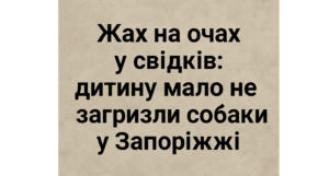 Собаки жестоко покусали 11-летнего мальчика в Запорожье (ФОТО)