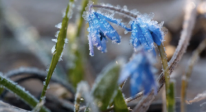 С 18 до -1°C — весна резко изменит курс в Запорожье