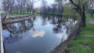 За 10 років може зникнути Дубовий Гай: експерти прогнозують нову екологічну катастрофу в Запоріжжі