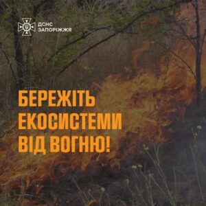 За добу на Запоріжжі ліквідовано п’ять пожеж в екосистемах