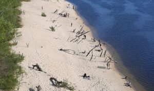 У заповіднику “Хортиця” розповіли про наслідки обміління водойм у Запоріжжі