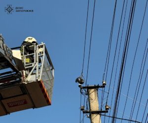 У Запоріжжі для порятунку голуба задіяли 5 надзвичайників (ФОТО)