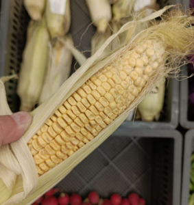 У Запоріжжі з’явилась у продажу свіжа кукурудза: скільки вона коштує (ФОТО)