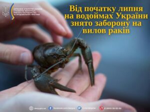 З 1 липня в Запоріжжі дозволено ловити раків: що слід знати рибалкам