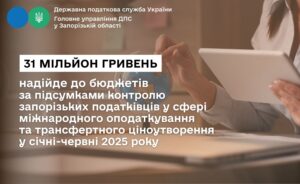 Штрафы на 31 млн: Запорожская налоговая проверила международные компании