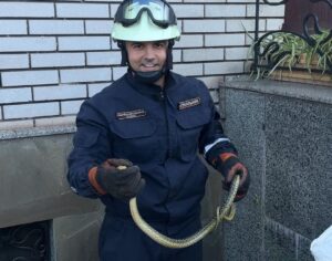 У Запоріжжі на дитячому майданчику виявили змію (ФОТО)