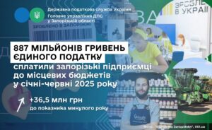 Почти 900 млн грн уплатили запорожские предприниматели в местный бюджет