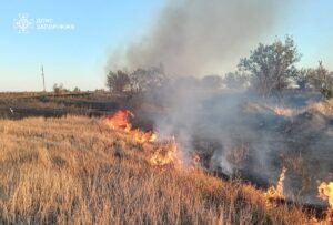 Наслідки обстрілів Запорізької області: горіли будинки, господарчі споруди та суха трава