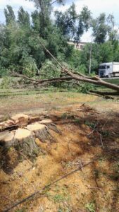 Шквали, потоп і вирвані з коренем дерева: як Запоріжжя пережило негоду 21 липня (ФОТО, ВІДЕО)