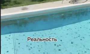 Популярний басейн у Запоріжжі обурив відвідувачів (ВІДЕО)