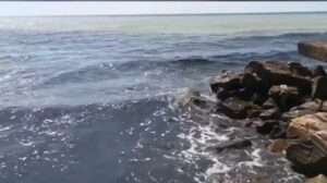 Азовське море у небезпеці: витік із російського танкера спричинив екокатастрофу  (ВІДЕО)