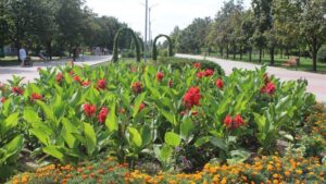 У Запорожцев осталось несколько дней, чтобы выбрать новое название Коммунарскому району: какой вариант лидирует
