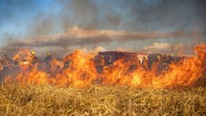 На Запоріжжі через обстріли загорілося поле ячменю