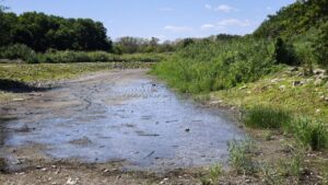 Як зараз виглядають обмілілі водойми в парку Перемоги в Запоріжжі (ВІДЕО)