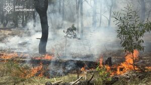 Вогнеборці ліквідували пожежу на Хортиці (ФОТО)