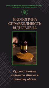 Екологічна справедливість: суд покарав винних у незаконній вирубці лісу на Запоріжжі