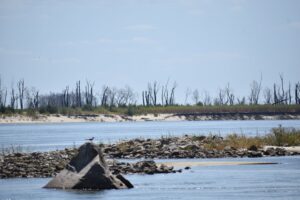 Як удари КАБами змінюють екологію під Запоріжжям: результати експедиції науковців (ВІДЕО)