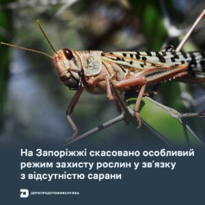 У Запорізькій області скасували особливий режим захисту рослин від сарани