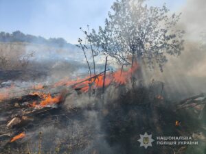Майже 600 ударів за добу: поліція показала наслідки обстрілів на Запоріжжі