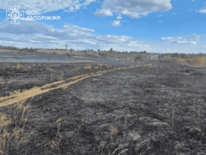 Пожежі на Запоріжжі: вогонь забрав життя жінки (ФОТО)