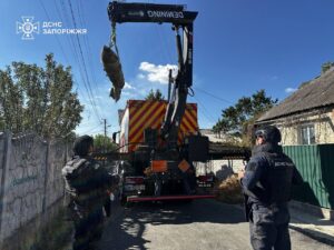 В Запоріжжі рятувальники ліквідували боєприпас, який не розірвався після обстрілу (ФОТО)