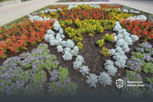 6 тисяч квітів і кущі-«парасольки»: як у Запоріжжі змінюються улюблені зони відпочинку (ФОТО)