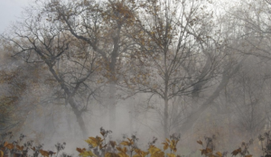 Вересень принесе Україні заморозки: синоптики попередили про різке похолодання