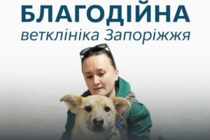 В Запорожье уже год успешно работает первая благотворительная ветеринарная клиника