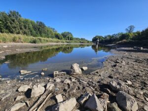 У ставку на Запоріжжі Лівому зафіксували критичне забруднення води (ВІДЕО)
