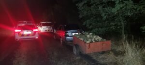 На Запоріжжі викрили незаконну вирубку дерев у лісосмузі