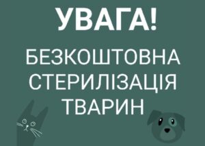 В Камышевахской громаде состоится бесплатная стерилизация и вакцинация животных