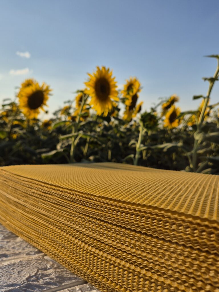 Нова вощина